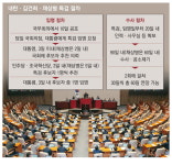특검에 文정부 인사 김양수·조은석 물망…사정정국 신호탄