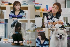 ‘집 나가면 개호강’ 레이, 김채원 반려견 특훈…스카이개슬