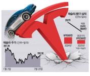 테슬라 급후진에 … 서학개미도 철렁