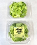 진스마트팜, 아시아 최고 높이 20단 수직농장에서 키운 HACCP 인증 샐러드