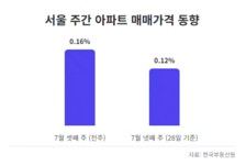 대출 규제에 숨죽인 ‘서울 집값’…서초 이어 ‘이 동네’도 하락