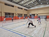 테니스·탁구·배드민턴 다 합쳤다…어른들의 스포츠 ‘피클볼’을 아시나요?