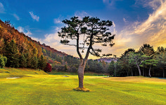 다양한 이벤트로 인기 끄는 수도권 야간 라운드 명소로제비앙 골프클럽 곤지암