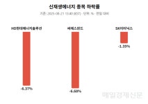 “풍력·태양광은 세기의 사기극” 트럼프 한마디에…신재생에너지 관련주 하락세
