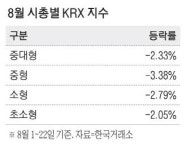 대내외 불확실성 커지자 소형주 주가 선방