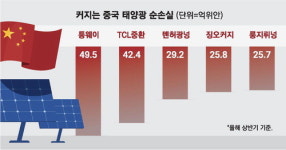 출혈경쟁 부메랑 … 中태양광 빅5 모두 적자