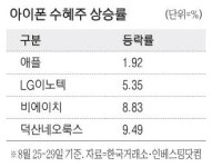 아이폰17 온다 부품·디스플레이株 들썩