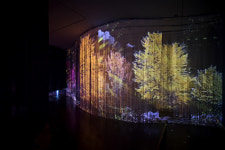 달빛 속 조각의 숲 산책하며 작품 탐험…소마미술관 2025년 하반기 전시 보러가볼까