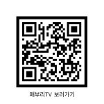 [매부리] 10·15 부동산대책 족집게 과외 해드립니다