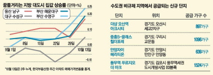 부산 해운대·대구 수성…지방 1급지 꿈틀
