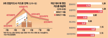 부동산 대출규제에 급전 카드론도 뚝
