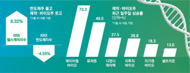 반도체 대장주 쉬자 불붙는 바이오株