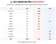 2.9만 가구 중 25% ‘나눔형·선택형’…실수요자 “고민되네”
