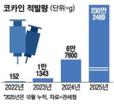 마약에 취한 대한민국…올해 적발량 3배 급증