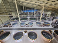 동해안 신산업 육성·폐광지역 살리기…강원 성장엔진 재점화