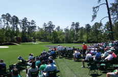 [오상준의 GOLF & CULTURE] 침묵이냐 축제냐, 갤러리 문화는 달라도 매너는 같다