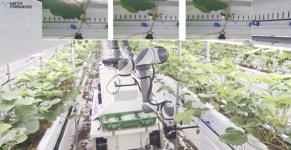 “겨울에만 먹는 딸기? 여름에도 맛있게”…K스마트팜에 ‘원예 강국’ 대표단도 깜놀