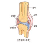 손가락 굵어진다는 ‘뚝뚝’ 관절 꺾기…근데 그거 뭐지? [그거사전2]