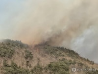 경남 함양 산불 진화율 62%…강풍에 헬기 등 총동원