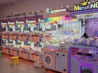 “인형뽑기집 차렸다가 폭망했네요”...인건비 안 드는데도 못 버틴 이유는