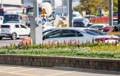 개혁신당 부산시장 후보 정이한 ‘음료 테러’ 당해… “어린놈의 XX가 무슨 시장 출마하느냐”