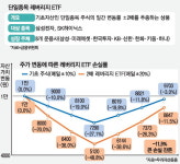 단일종목 레버리지의 유혹…계좌는 소리없이 녹아내린다 [지갑을 불려드립니다]