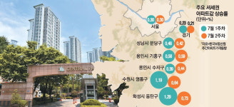 규제 묶이자마자…동탄·기흥 거래 0건