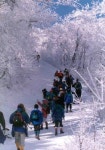 [여행단신] 경춘선 타고 눈덮인 산야로 外