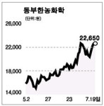 [전문가 추천주] 동부한농화학 (000990)