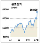 금호전기 “3개 라인 증설”에 급등