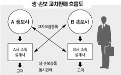 損保-生保우리가 더 손해