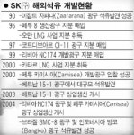 [한국의 골든카우/정유] 2. 검은 황금을 캔다