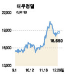 대우정밀 조정 땐 매수