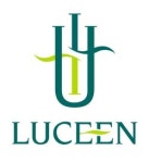 대명종건 새 아파트브랜드 루첸 선봬