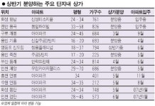 단지내 상가 열풍 지속될듯