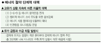 최악상황땐 '석유배급제' 실시