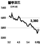 블루코드 상한가