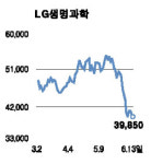 LG생명과학, 지금이 살때