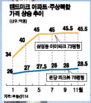 랜드마크형 아파트값 고공비행