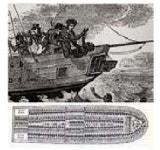 [오늘의 경제소사/11월29일] 종 호의 살처분