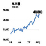 코오롱 2009년께 지주사로 전환