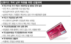 국세 신용카드 납부제 추진