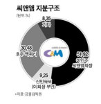'씨앤앰 최대주주' 값어치 얼마나 될까