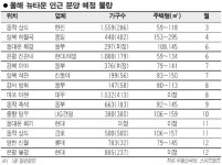 뉴타운 주변 미분양 몰라요