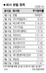 회사 분할후 주가 하락 속출