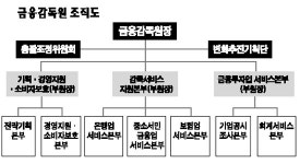 금감원 