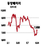 동양메이저, 급반등
