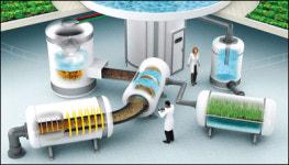 도심 마천루 농장 新농경시대 연다