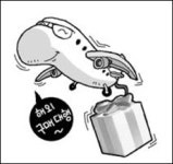 해외구매대행몰 환율 올라도 매출 늘었어요