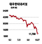 대우인터내셔널, 사상최대 실적 불구 폭락